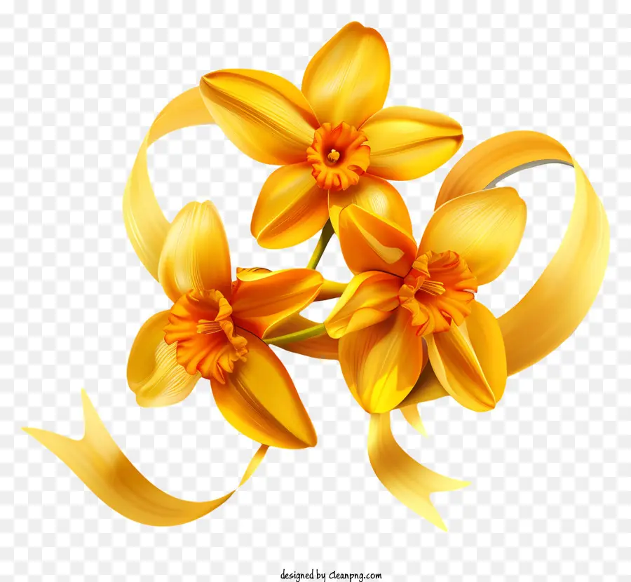 St Davids Dia，Flores De Laranja PNG