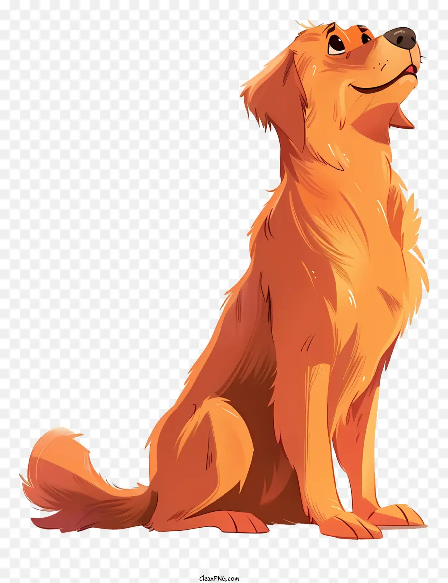 Golden Retriever，Cão Dos Desenhos Animados PNG