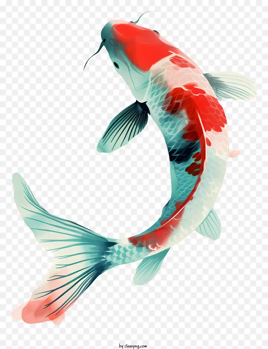 O Peixe Koi，Colorido PNG