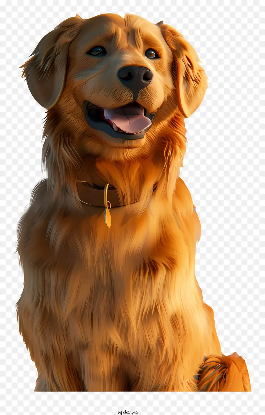 Golden Retriever，Cachorro PNG