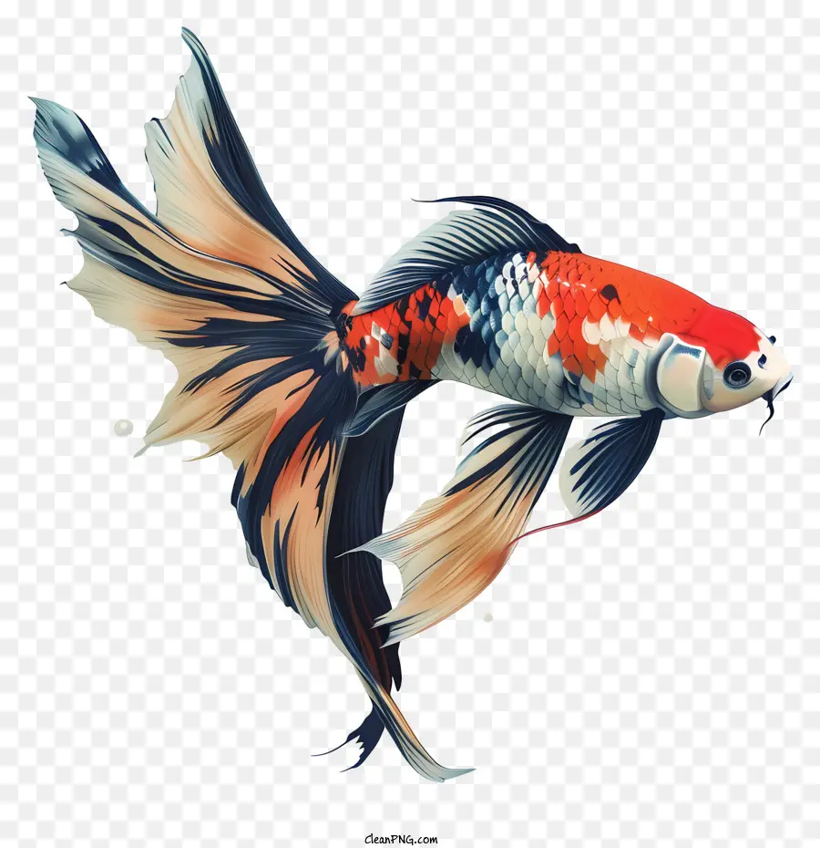 O Peixe Koi，Peixe PNG