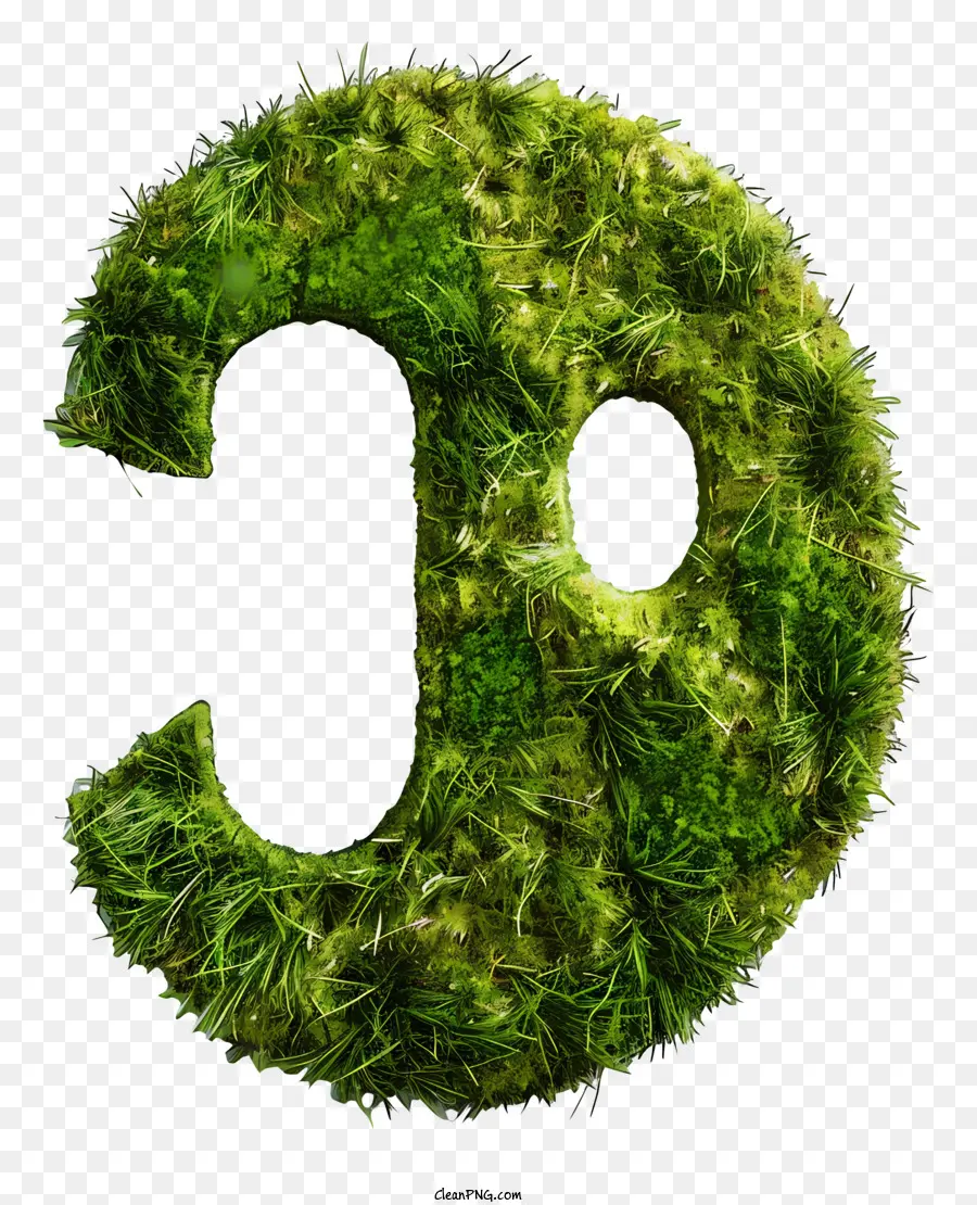 O Verde Da Relva，Moss PNG