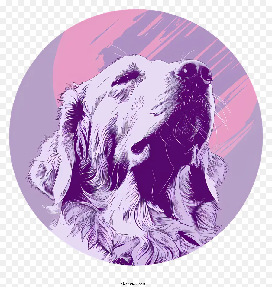 Golden Retriever，Cão Retrato PNG