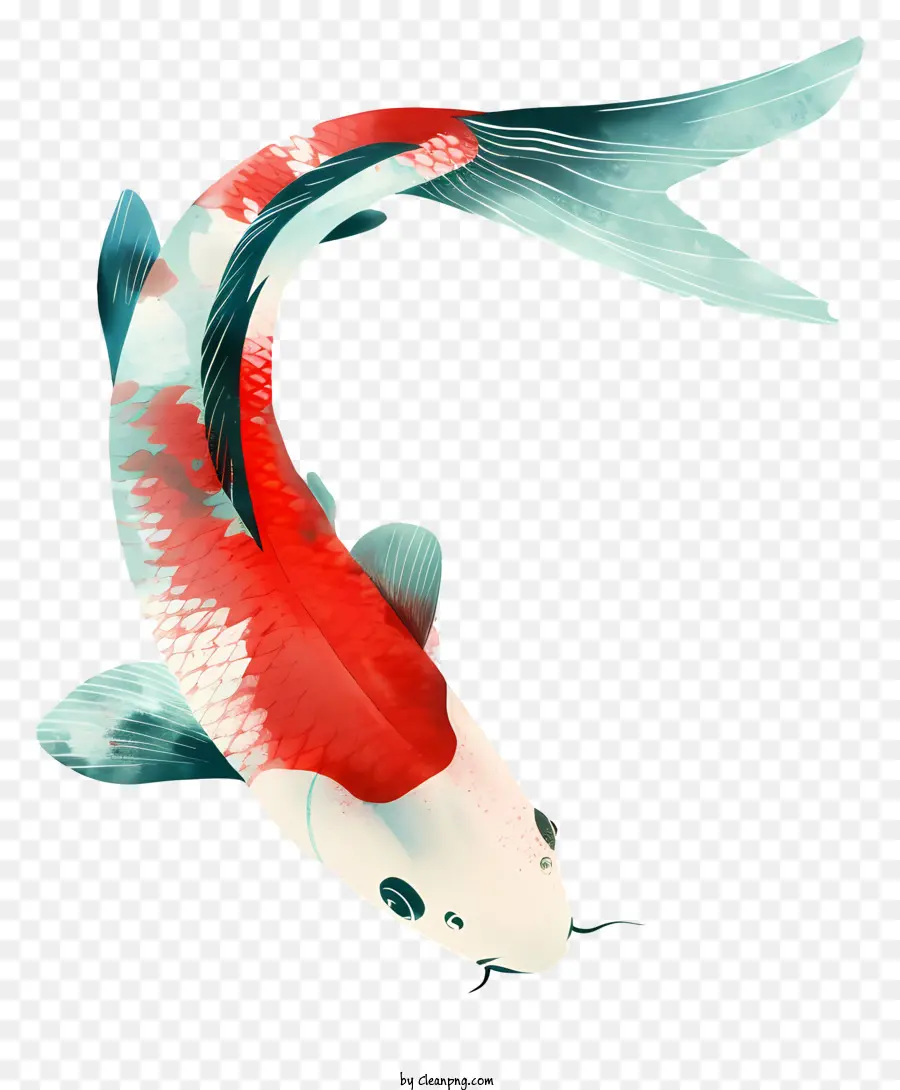 O Peixe Koi，Peixe Exótico PNG