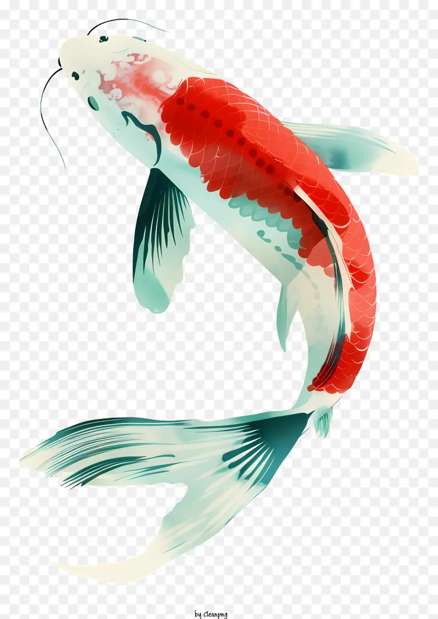 O Peixe Koi，Vermelho Sem Peixe PNG