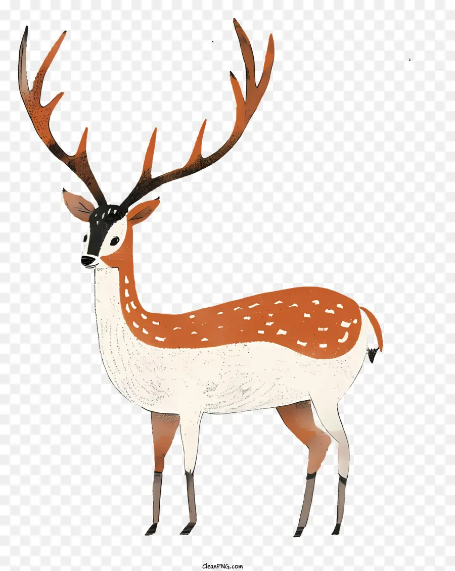 Rena，Deer PNG