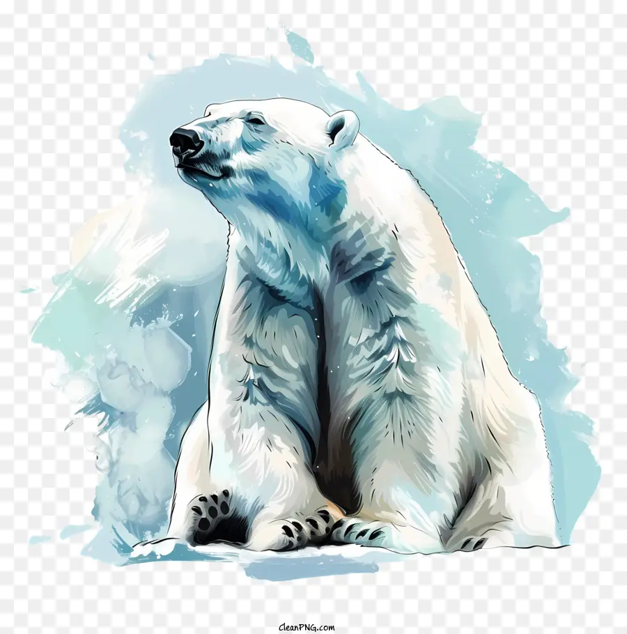 Internacional Do Urso Polar Dia，Urso Polar PNG