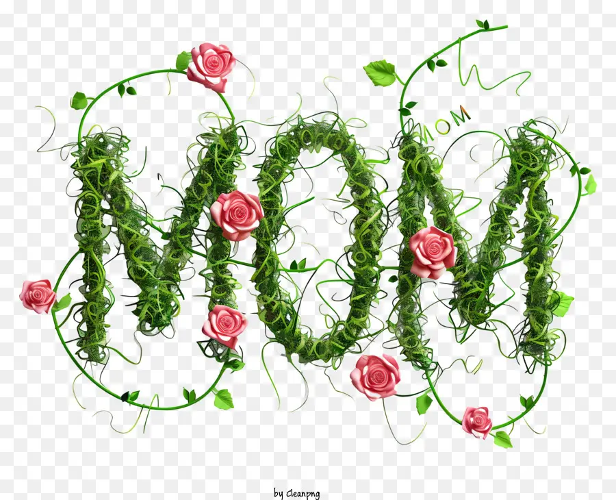 Mom，Rosa Vermelha PNG