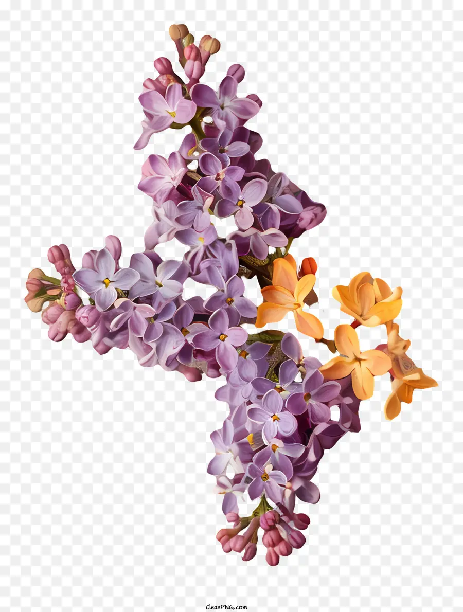 Flores Lilás，Lilás PNG