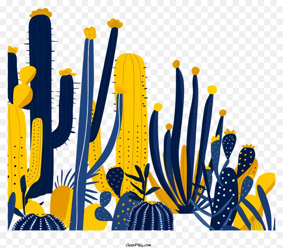 Cactos Mexicanos，Cactos PNG