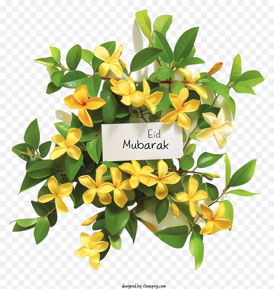 Eid Mubarak，Flores De Jasmim PNG