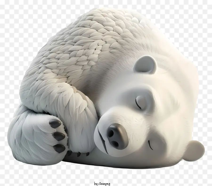 Internacional Do Urso Polar Dia，Urso Branco PNG