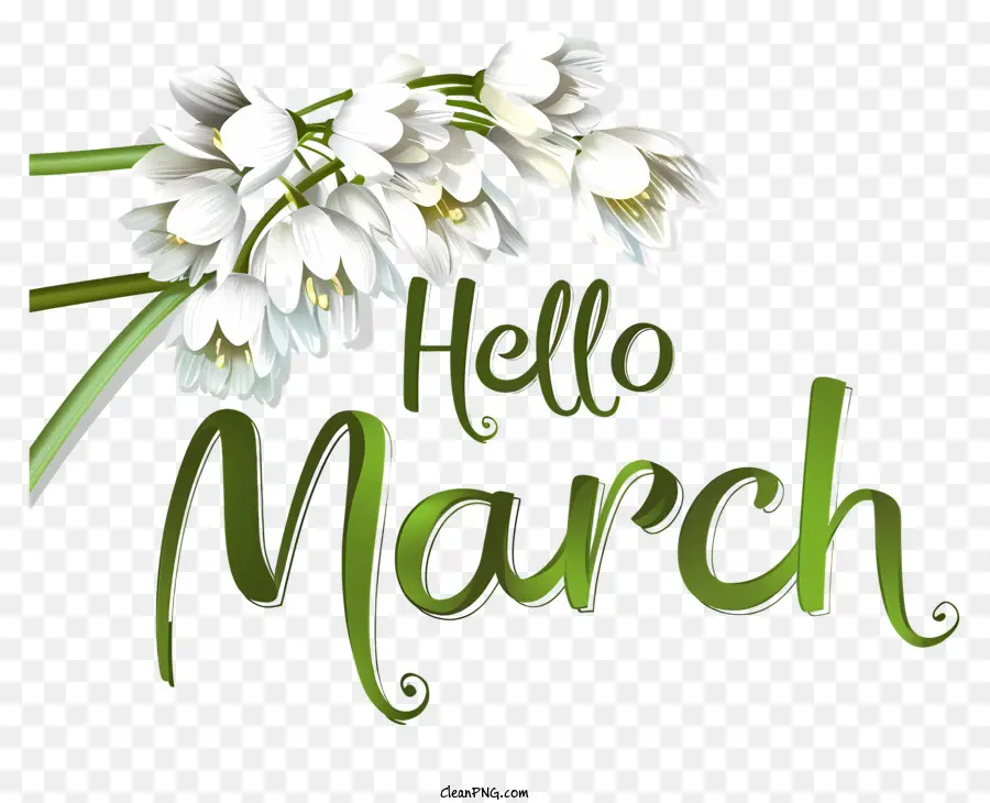 Olá Março，Flor Branca PNG