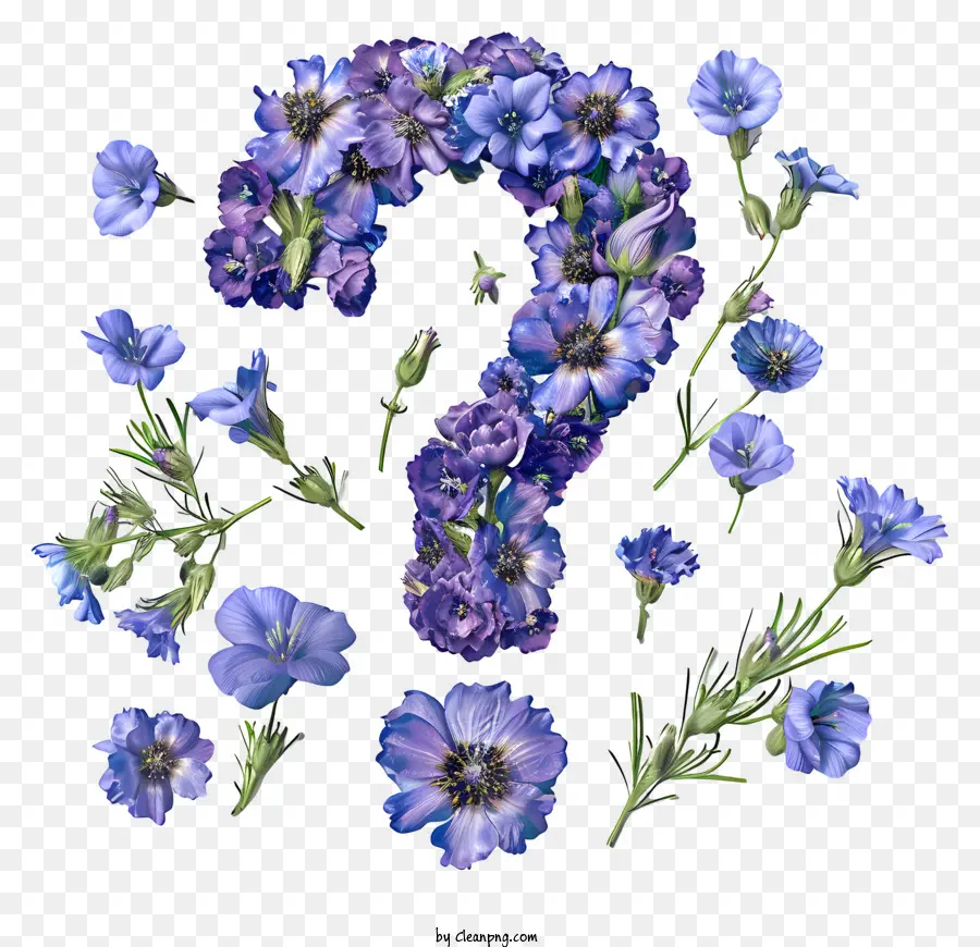 Ponto De Interrogação，Flores Azuis PNG