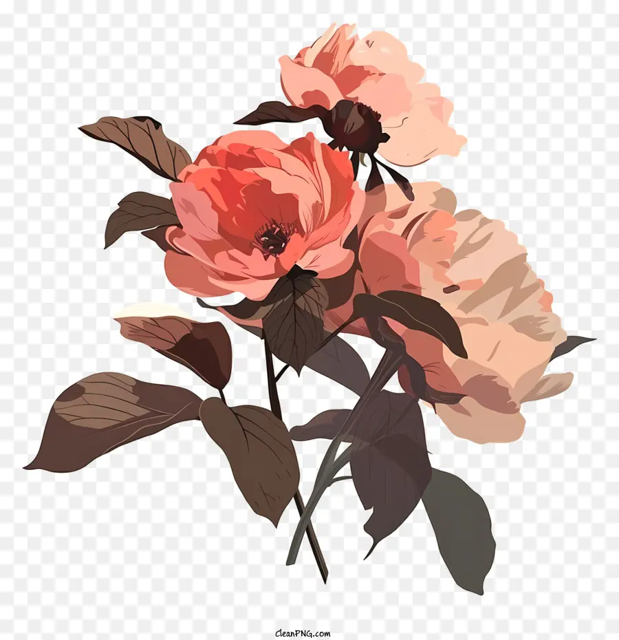 Arranjo De Flores Peony，Rosas Cor De Rosa PNG