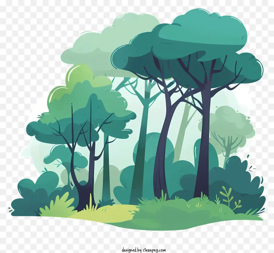 Dia Internacional Das Florestas，Floresta PNG