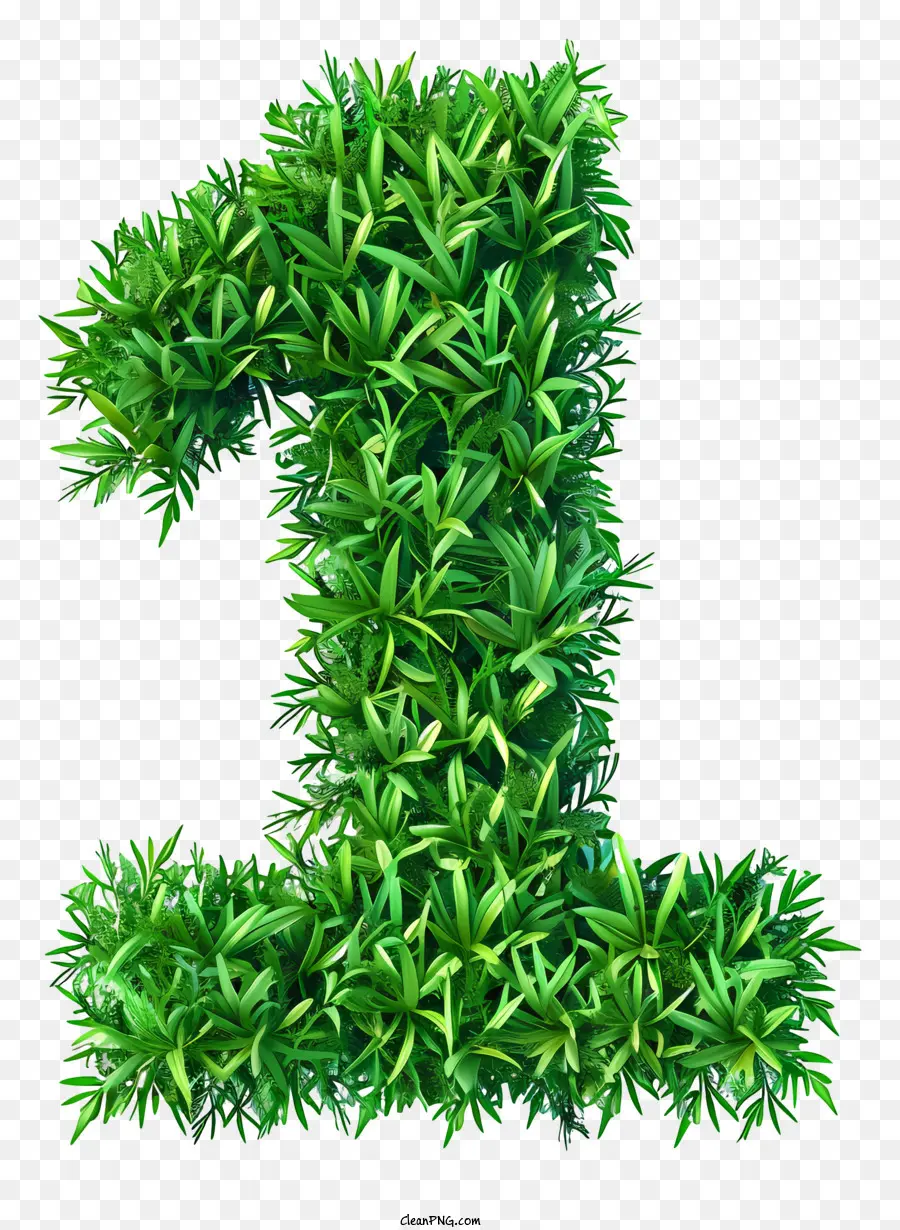 Número Um，Plantas Verdes PNG