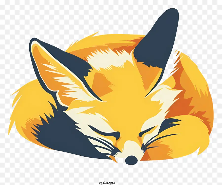 Fennec Fox，Fox PNG