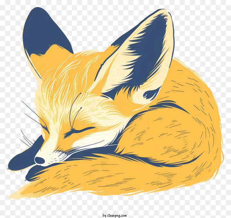 Fennec Fox，Desenho Animado Da Fox PNG