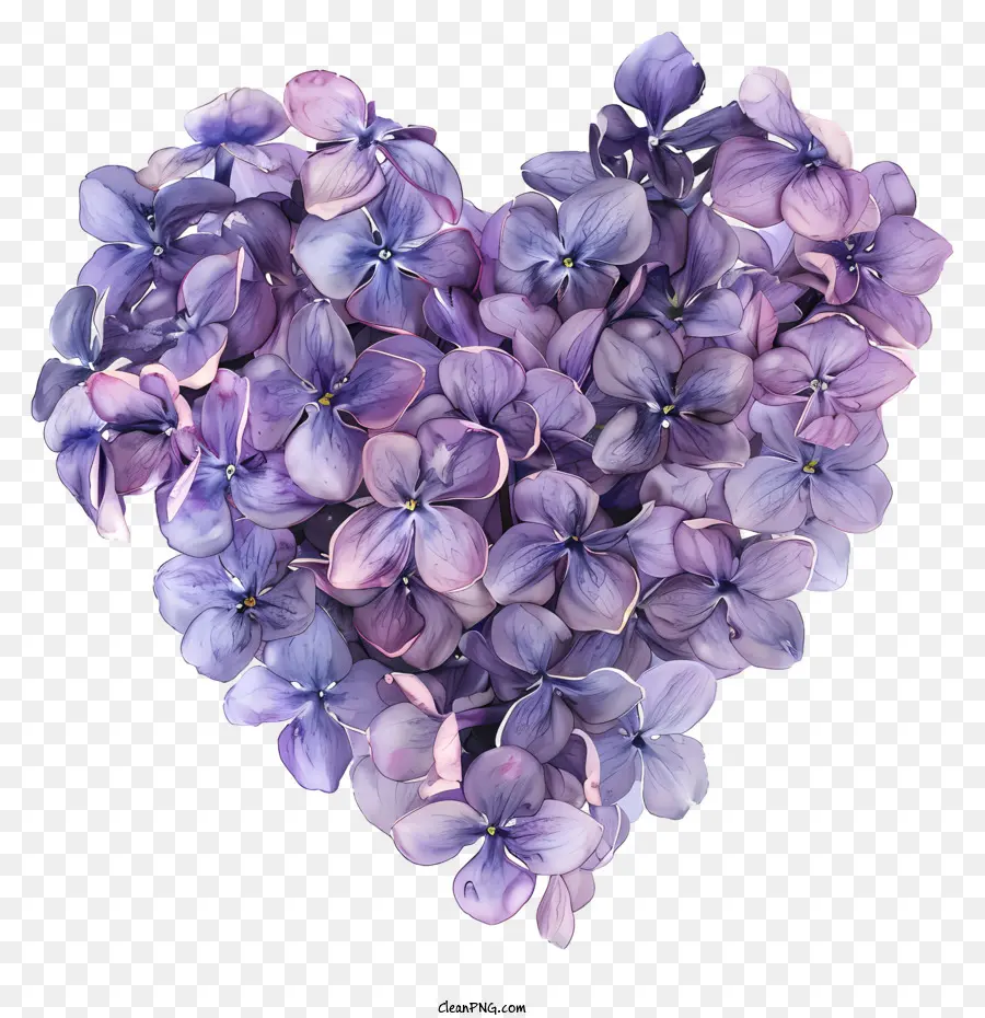 Flores Lilás，Coração PNG