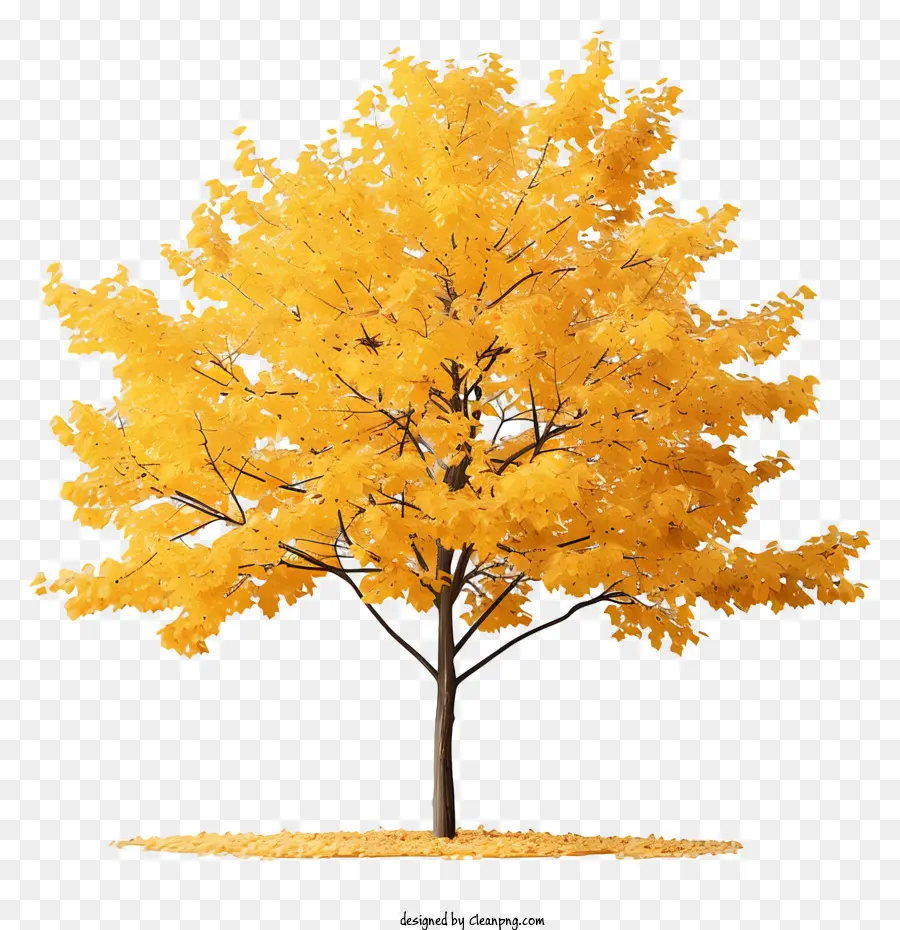 Árvore De Bordo Amarelo，árvore Solitária PNG