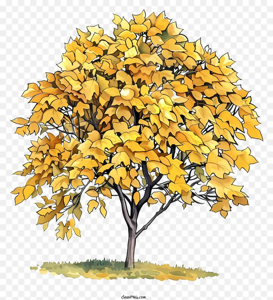 Árvore De Bordo Amarelo，Folhas De Ouro PNG