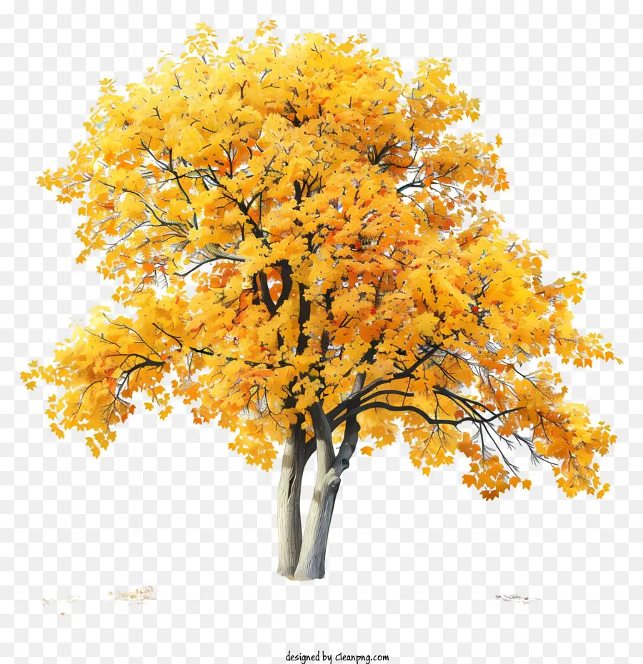 Árvore De Bordo Amarelo，árvore PNG