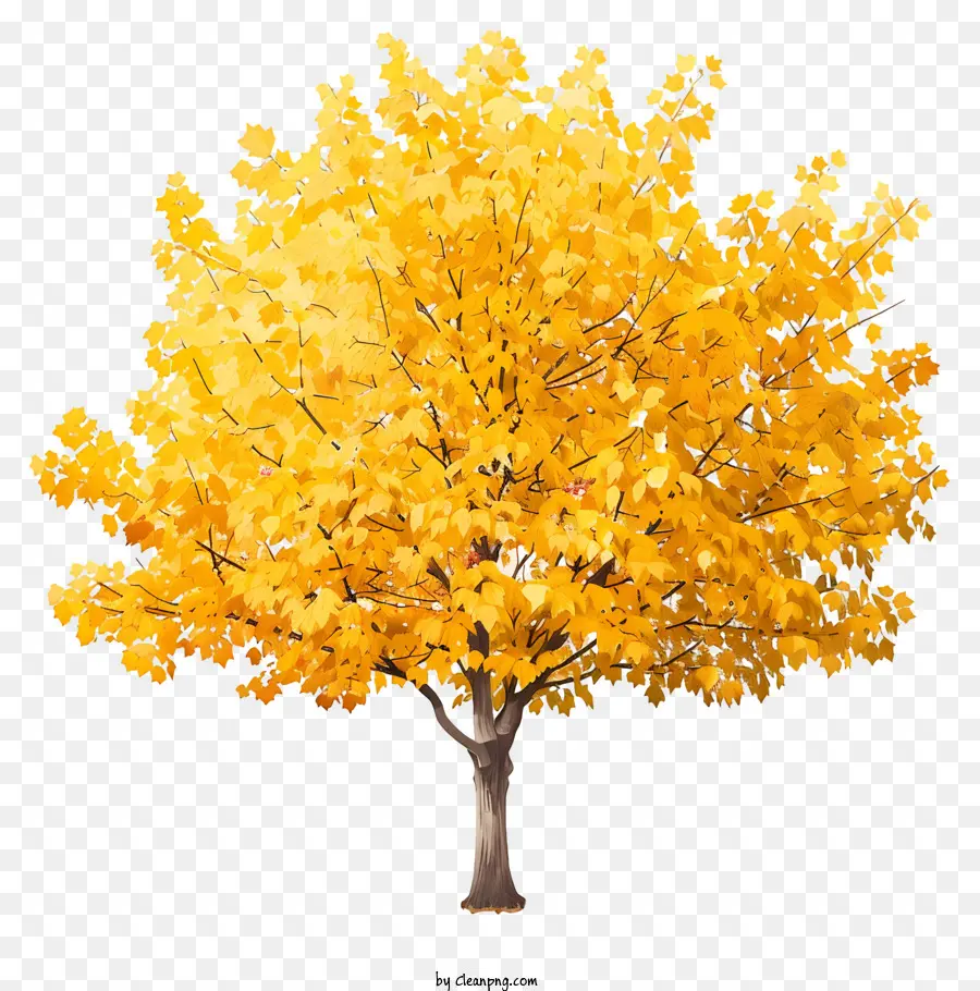 Árvore De Bordo Amarelo，Folhas Amarelas PNG