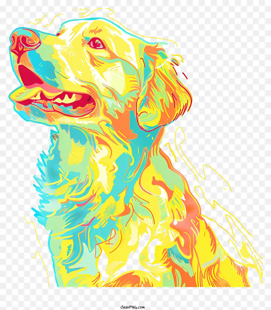 Golden Retriever，Labrador Retriever PNG