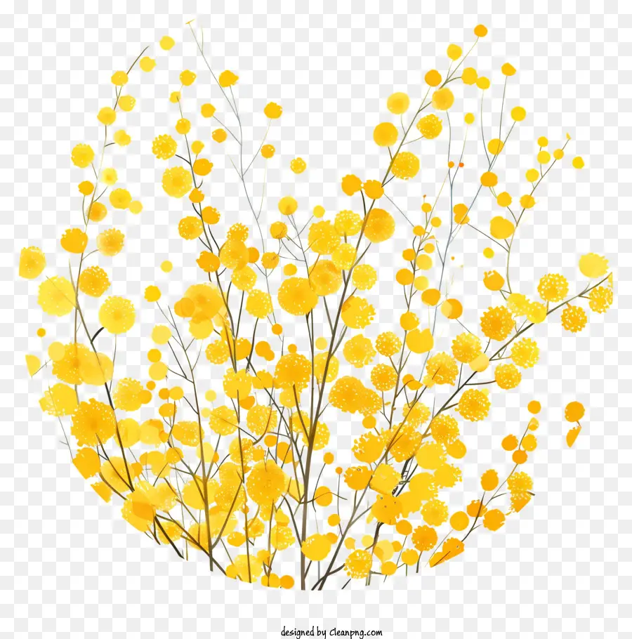 Mimosa Flowers，Design Floral PNG