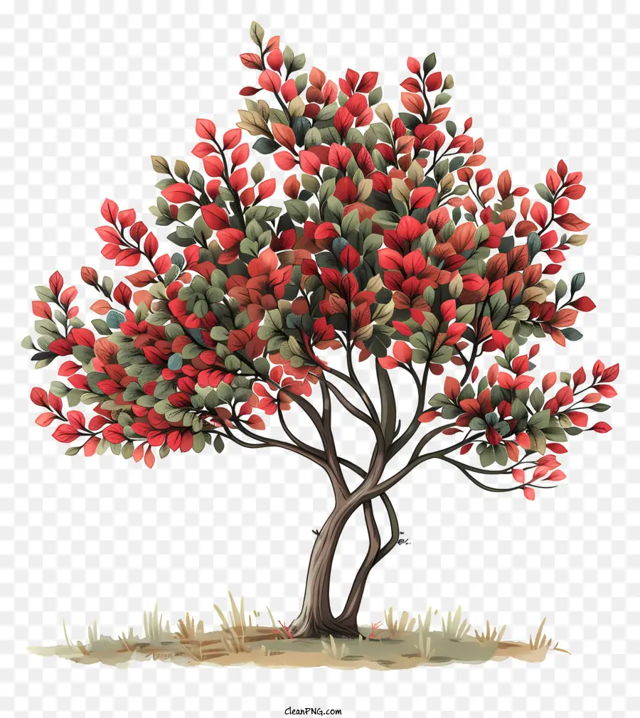 Autumn Tree，Folhas Vermelhas PNG