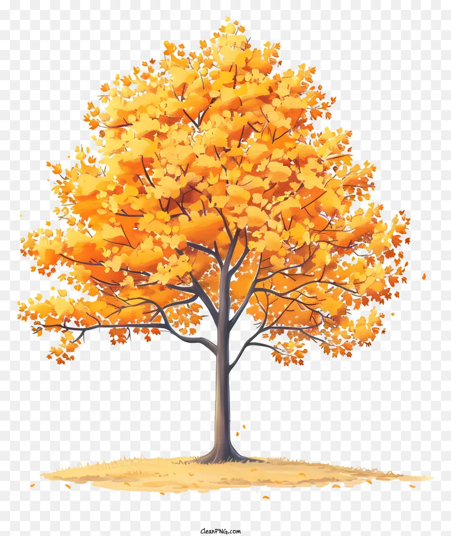 Autumn Tree，Queda De árvore PNG