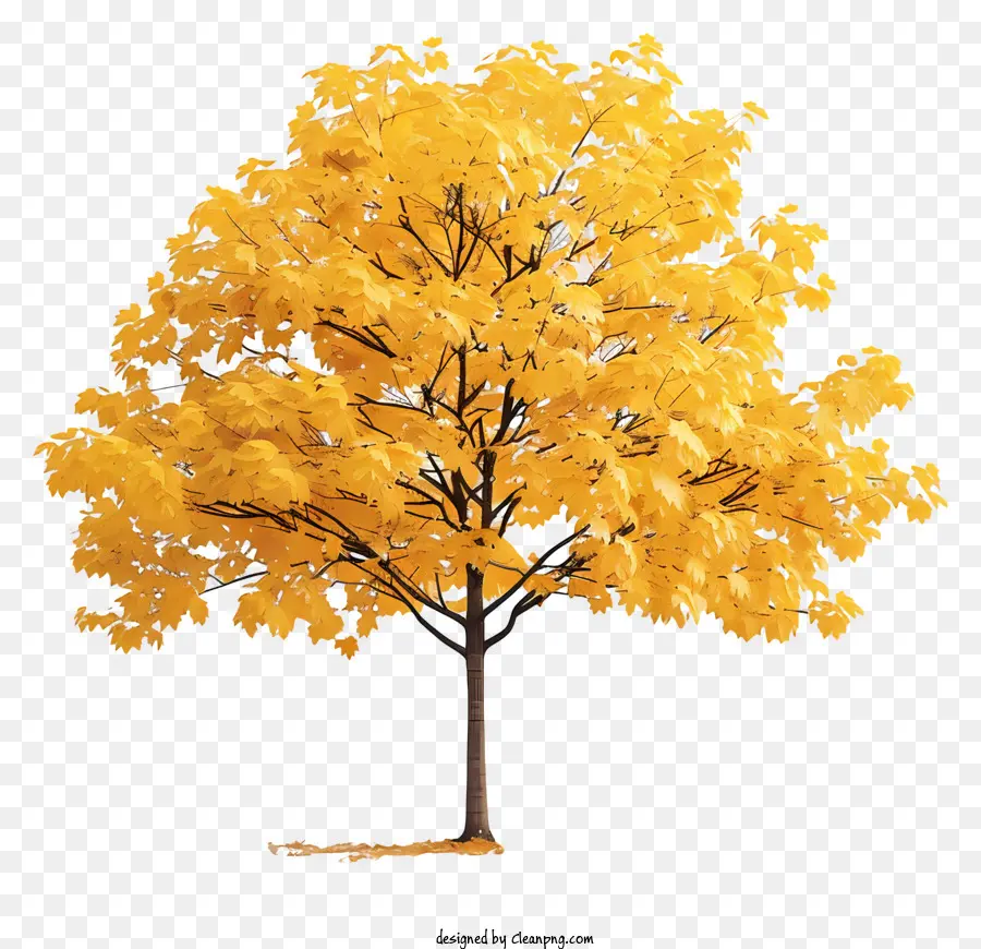Árvore De Bordo Amarelo，Autumn Tree PNG