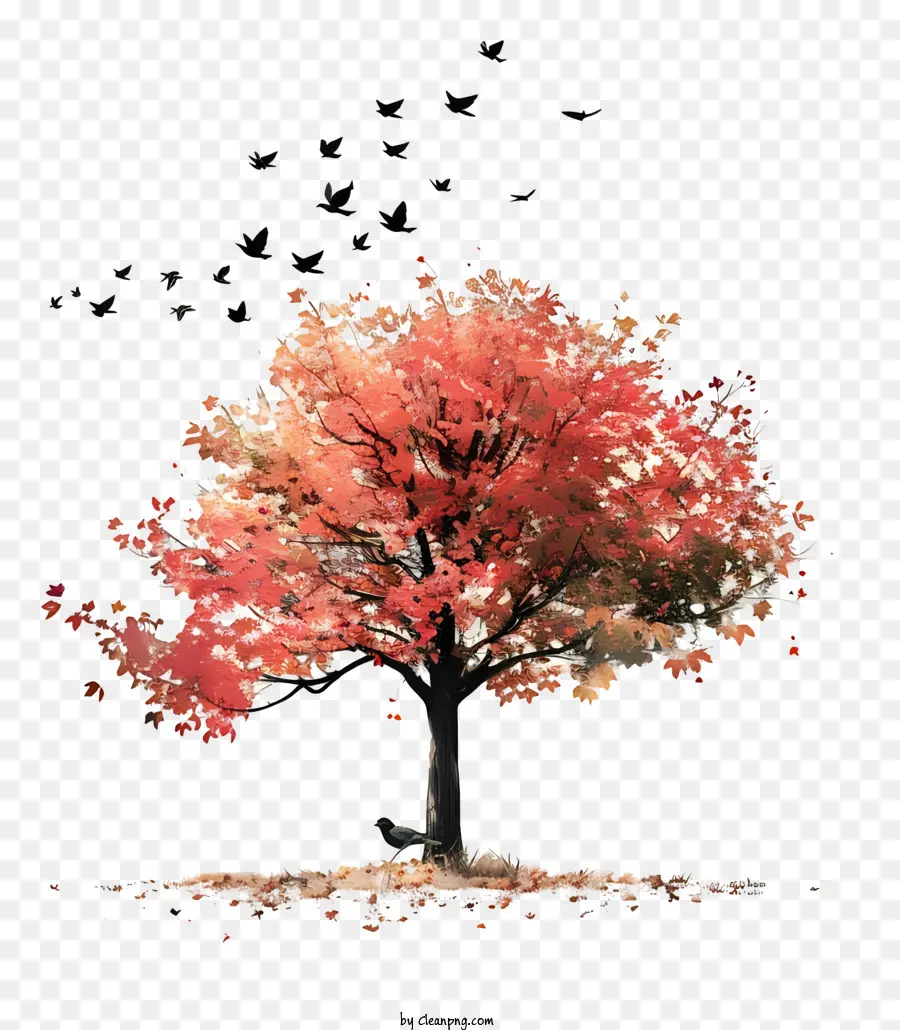 Autumn Tree，Folhagem De Outono PNG