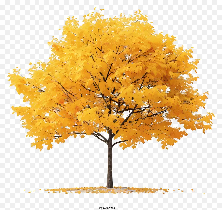 Árvore De Bordo Amarelo，árvore PNG