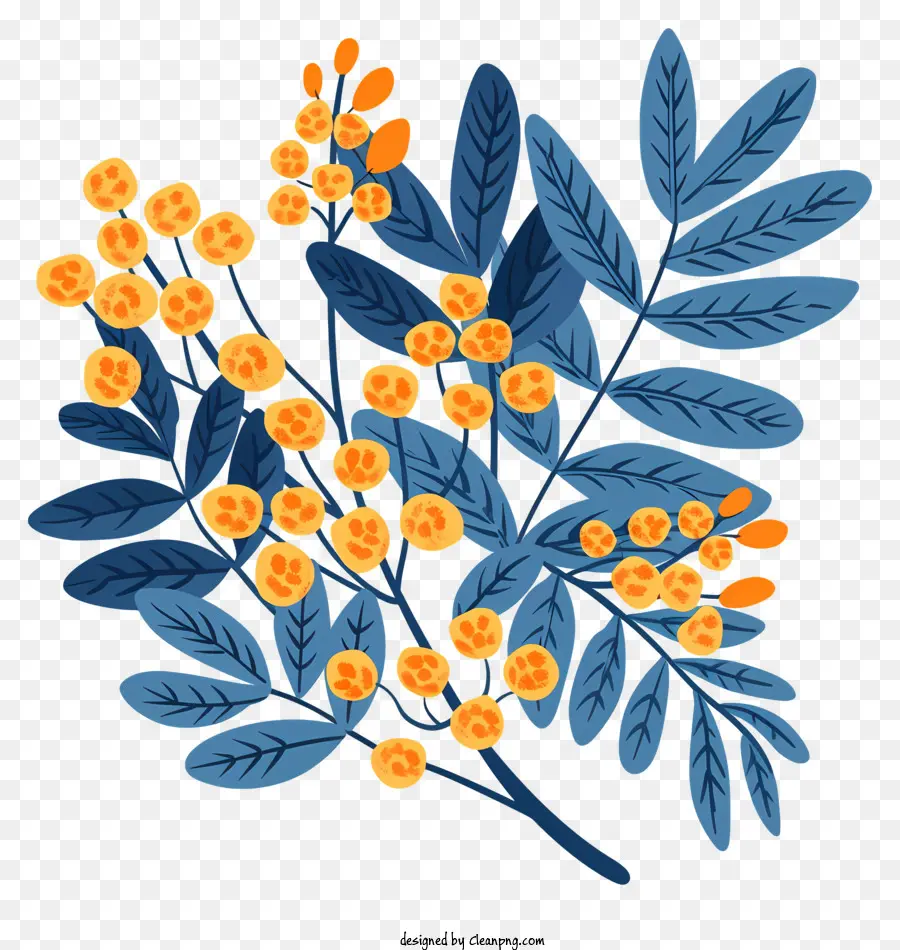 Mimosa Flowers，Flores Azuis E Amarelas PNG