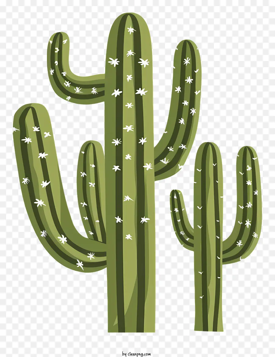 Cactos Mexicanos，Cactos PNG