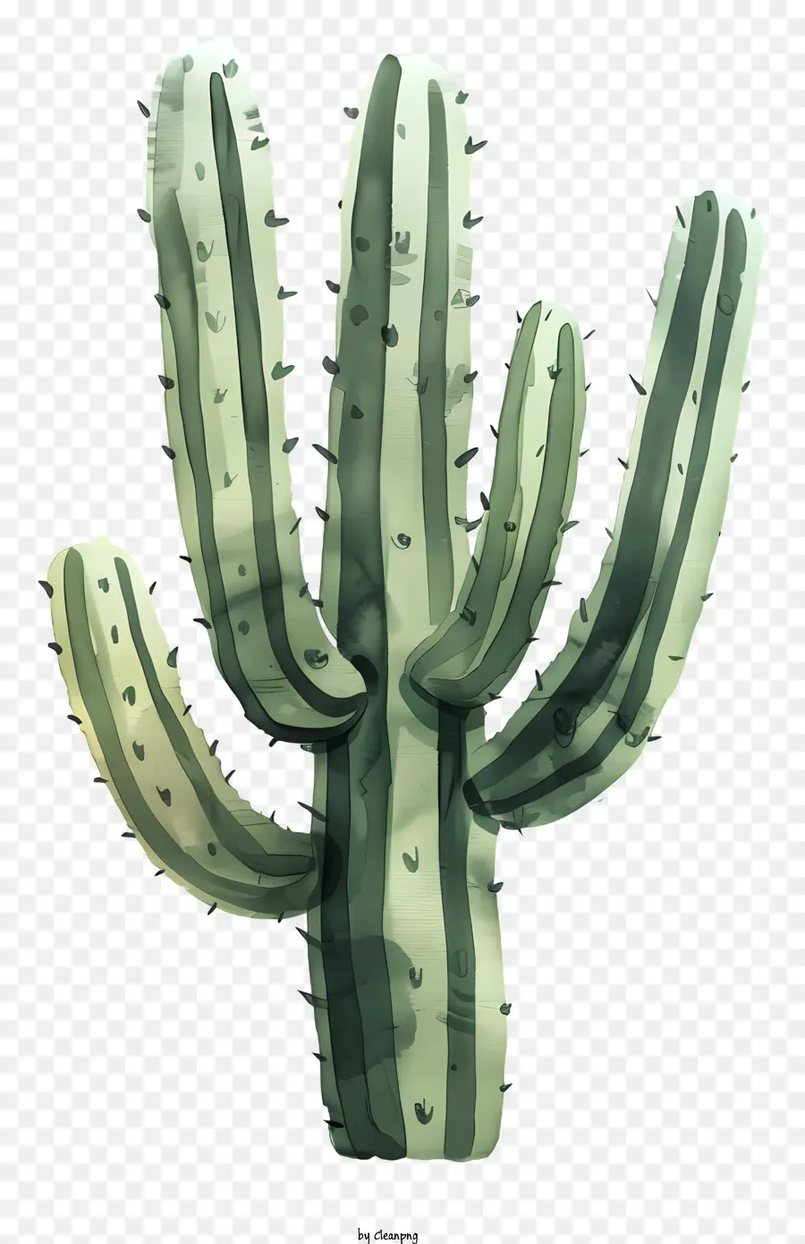 Cactos Mexicanos，Cactus PNG