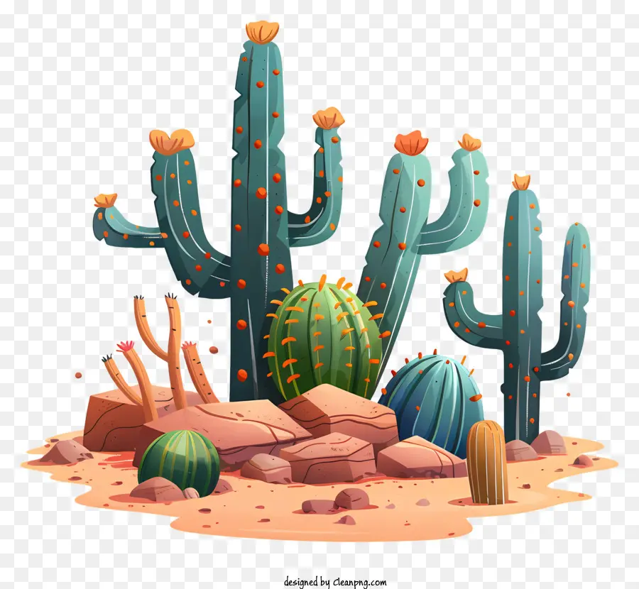 Cactos Mexicanos，Cactus Campo PNG