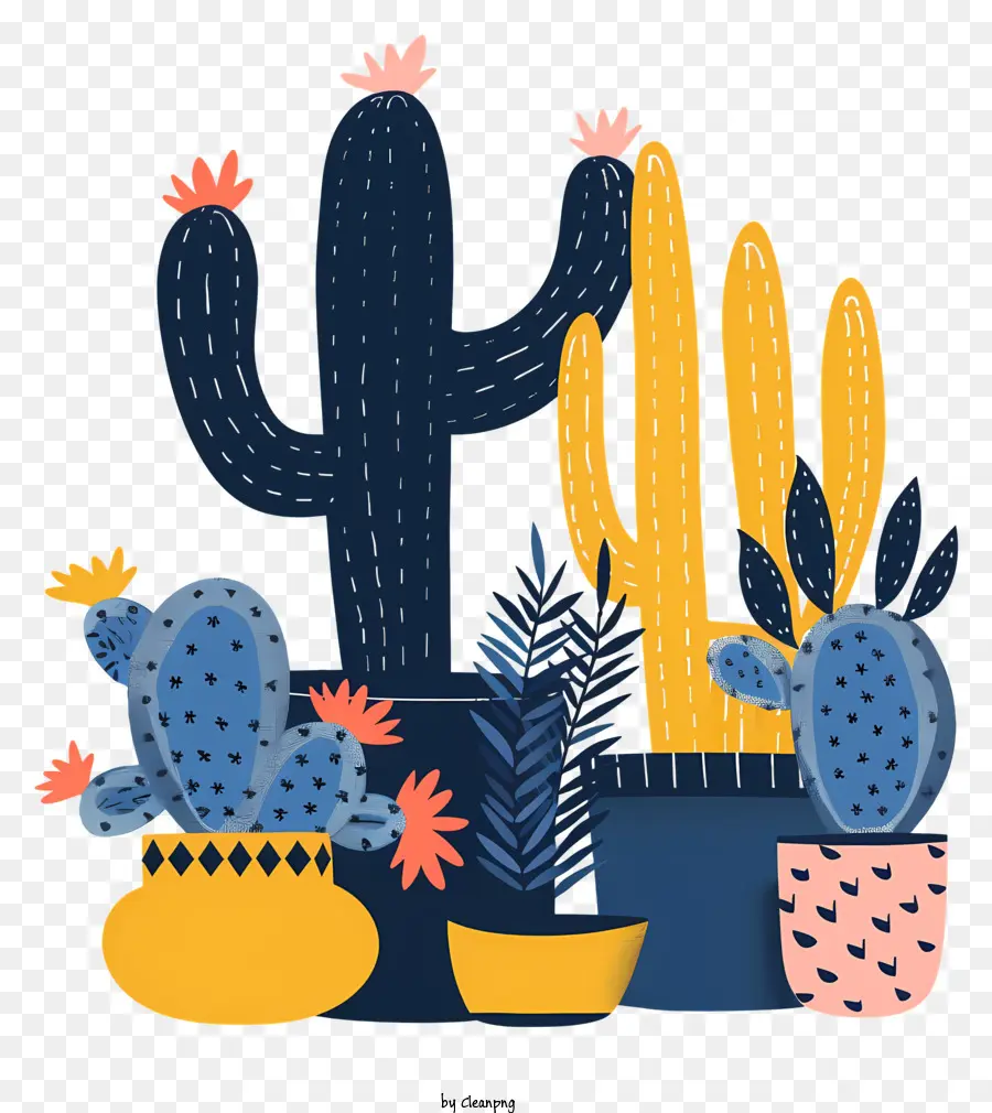 Cactos Mexicanos，Plantas Cacti PNG