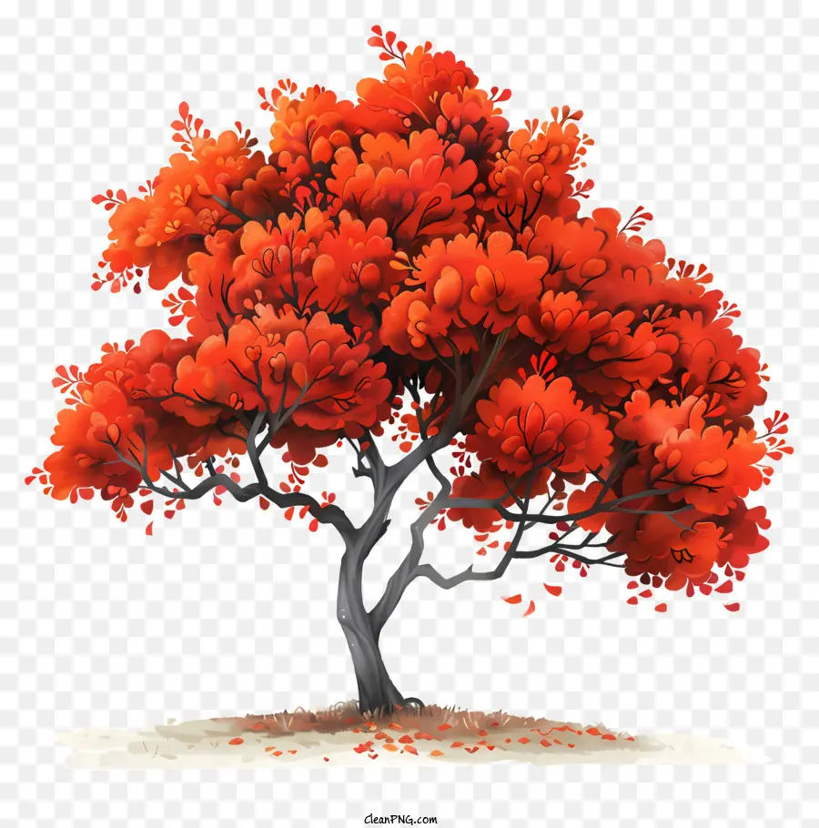 Autumn Tree，Outono PNG