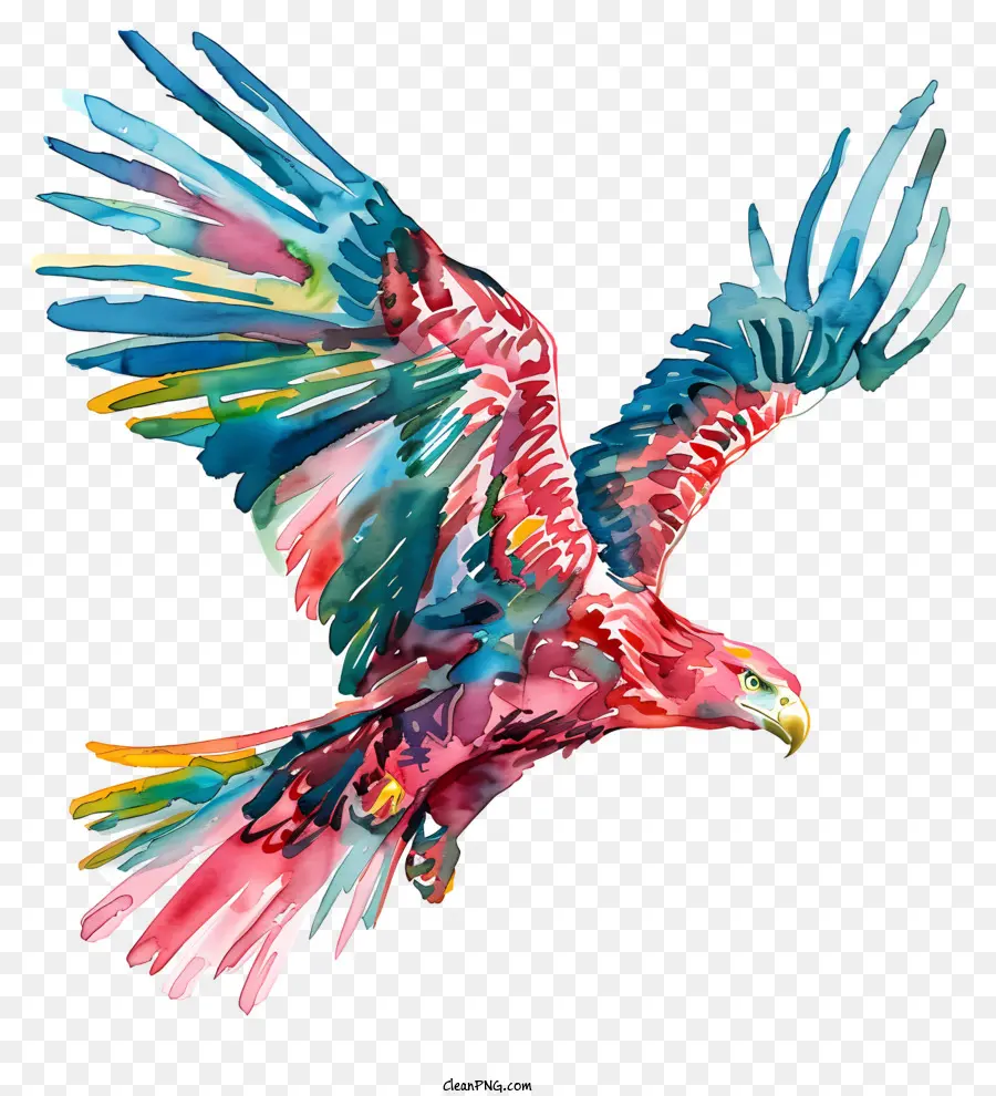 Aquarela águia，Pintura Colorida De Pássaros PNG