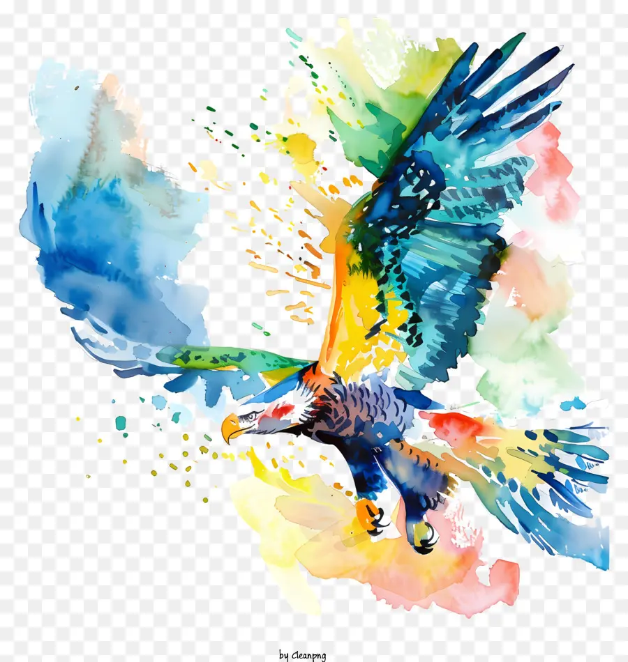Aquarela águia，Pássaro Colorido PNG