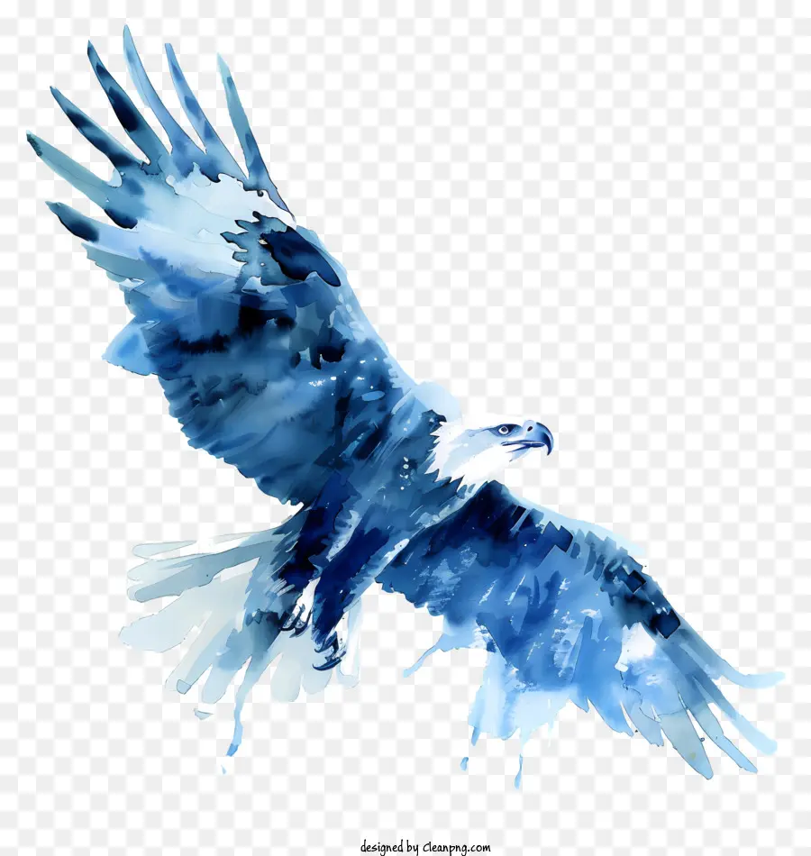 Aquarela águia，águia De Pintura PNG
