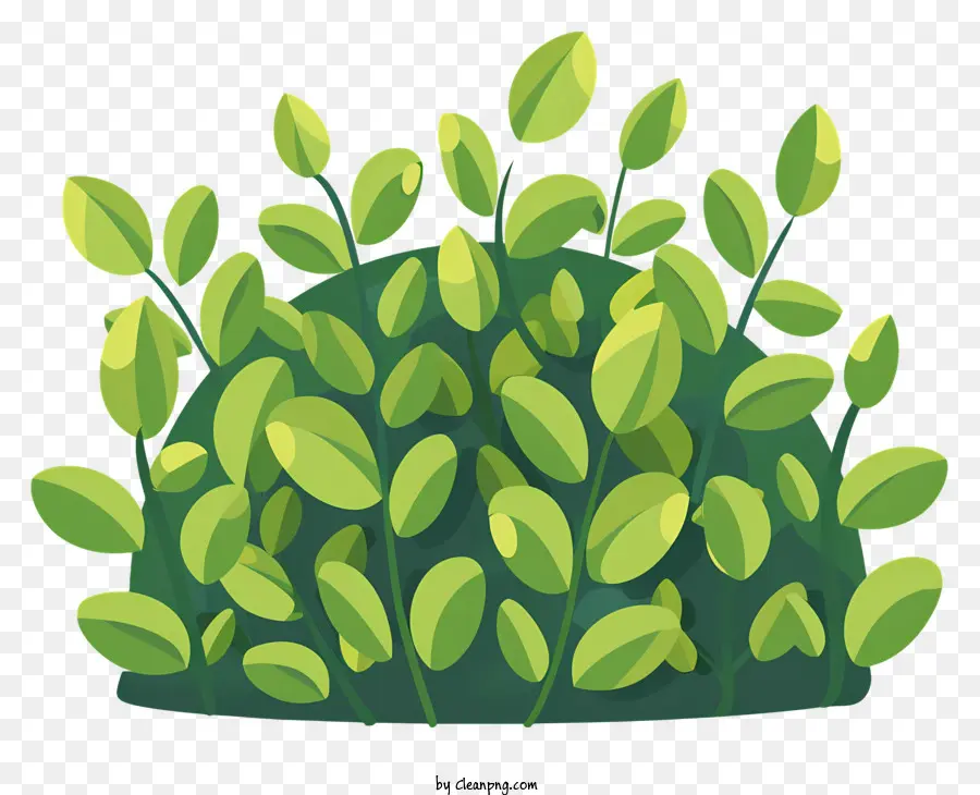 Arbustos，Folhas Verdes PNG