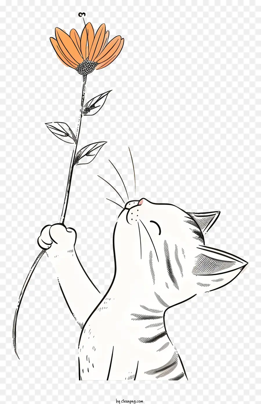 Gato Tocando Flores，Gato PNG