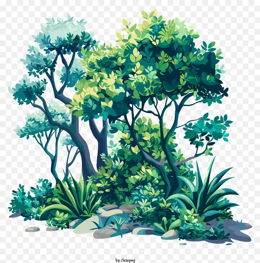 Arbustos，Floresta Tropical PNG
