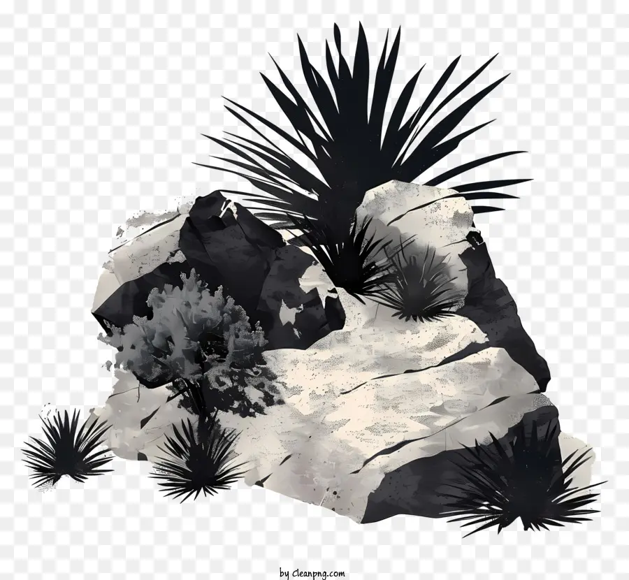 Arbustos，Formações Rochosas PNG