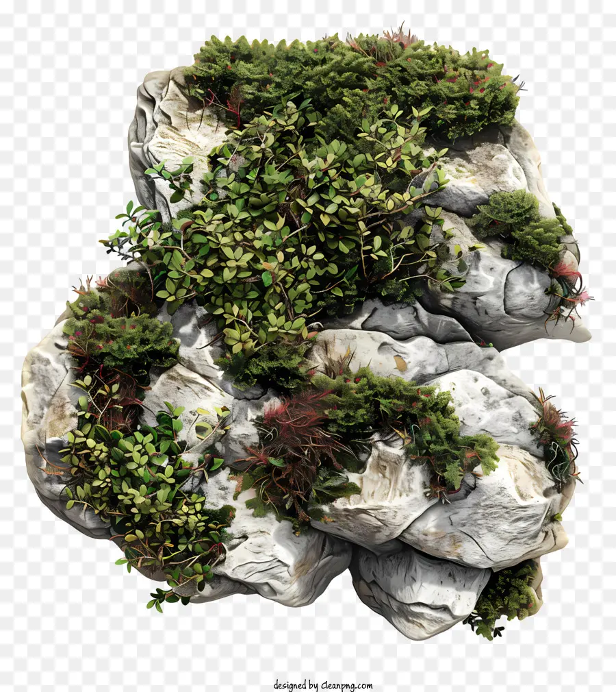 Arbustos，Formação Rochosa PNG