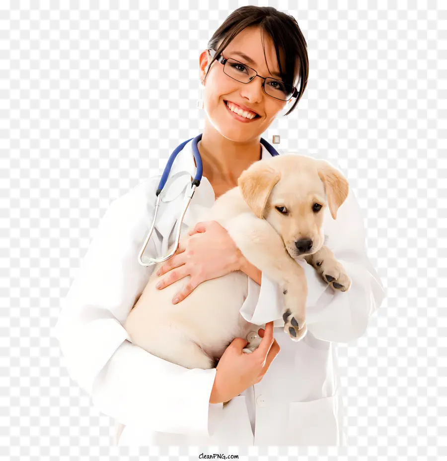 Cachorro，Veterinário Com Cachorrinho PNG